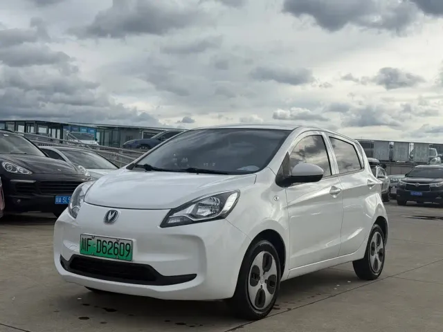 Фотография автомобиля — Changan Benben E-Star