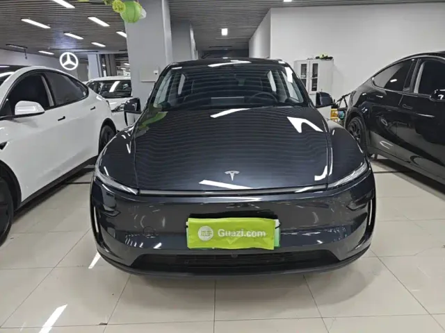 Tesla Model Y — Фото автомобиля 2