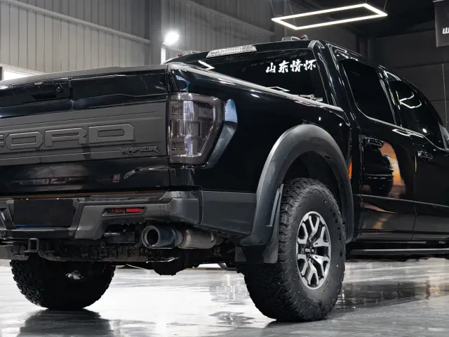 Ford F-150 Raptor — Фото автомобиля 8
