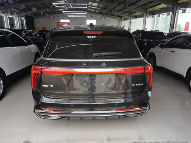 Hongqi E-HS9 — Фото автомобиля 5
