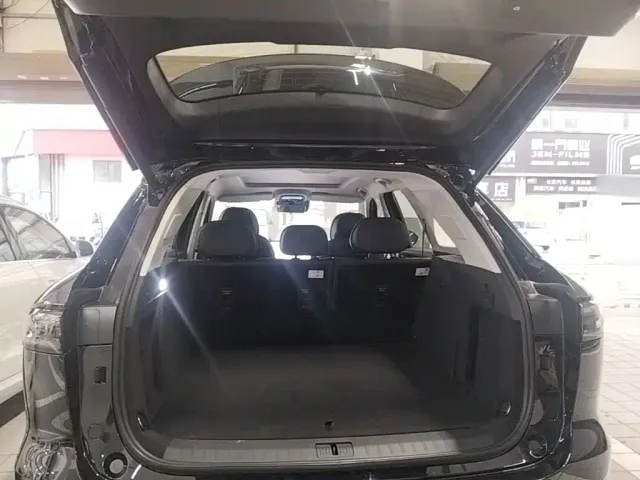 Chery Fulwin T9 — Фото автомобиля 18