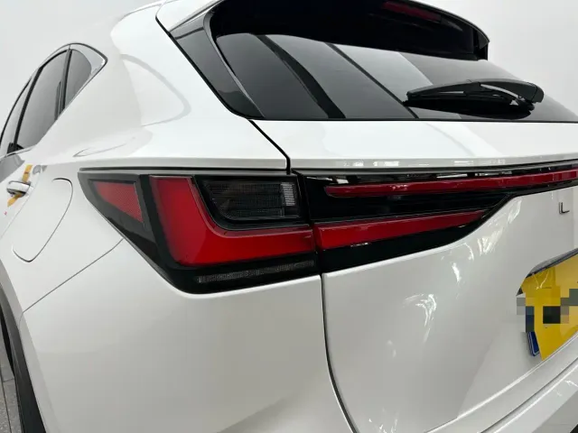 Lexus NX — Фото автомобиля 19