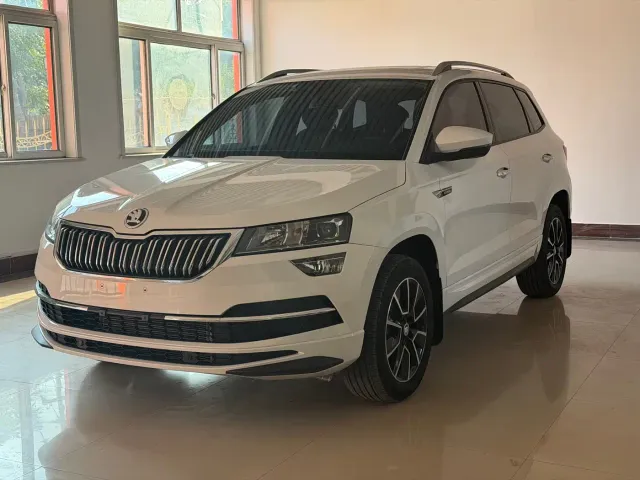 Škoda Karoq 2023 TSI280 Premium Edition — Фото автомобиля 2