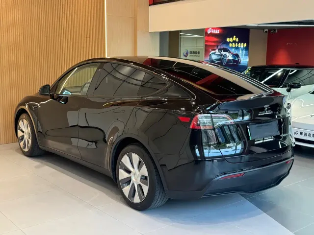 Tesla Model Y — Фото автомобиля 19