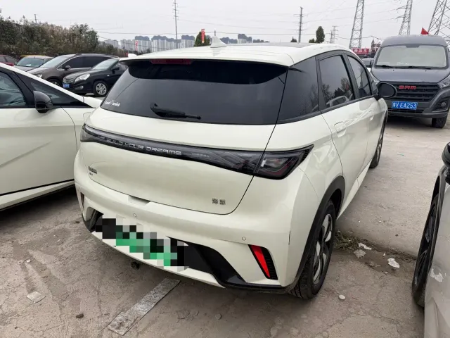 BYD Dolphin — Фото автомобиля 9