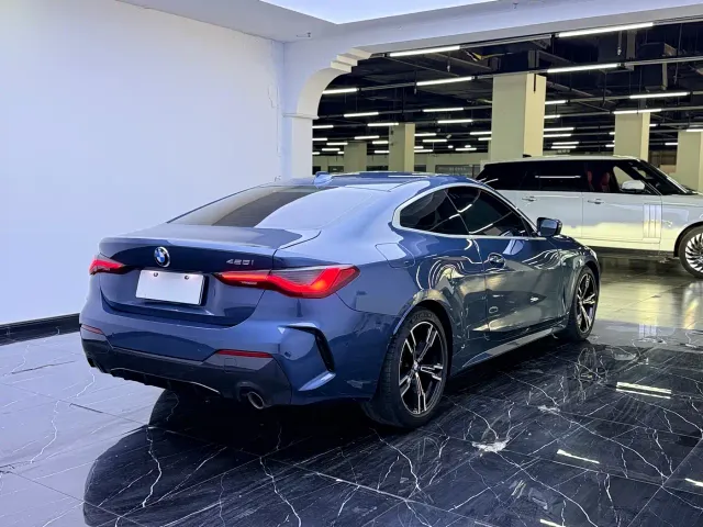 BMW 4 Series — Фото автомобиля 16