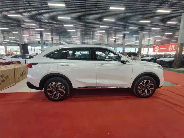 Haval Xiaolong MAX — Фото автомобиля 6