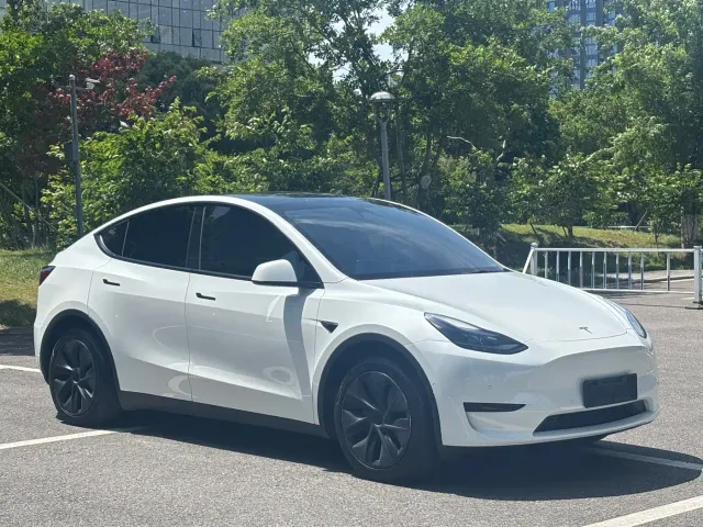 Tesla Model Y — Фото автомобиля 3