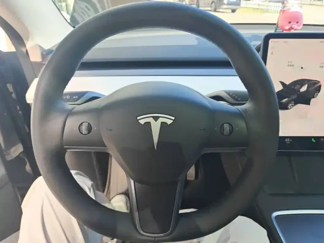 Tesla Model Y — Фото автомобиля 10