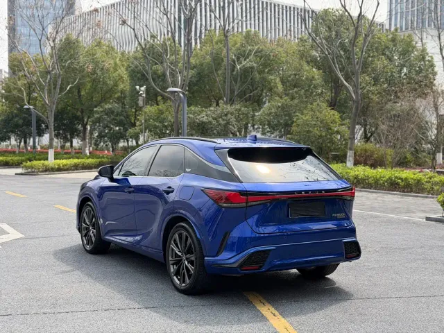 Lexus RX — Фото автомобиля 15