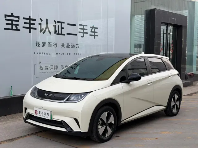 Фотография автомобиля — BYD Dolphin