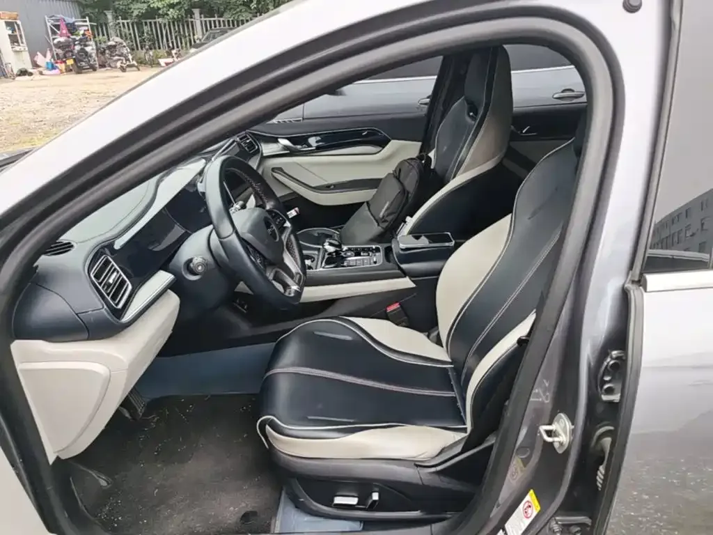 BYD Qin PLUS 2021 EV 500KM Luxury Model — Фото автомобиля 14