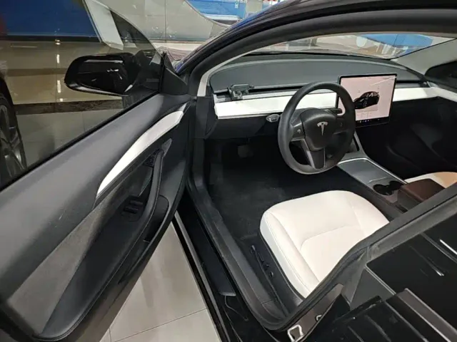 Tesla Model 3 — Фото автомобиля 15