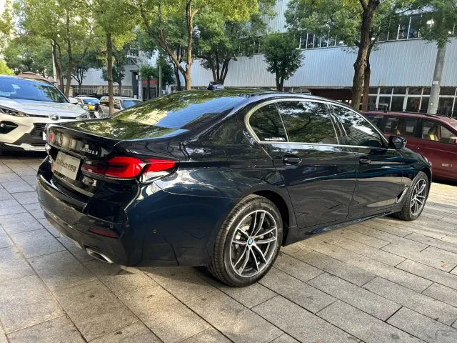 BMW 5 Series — Фото автомобиля 13