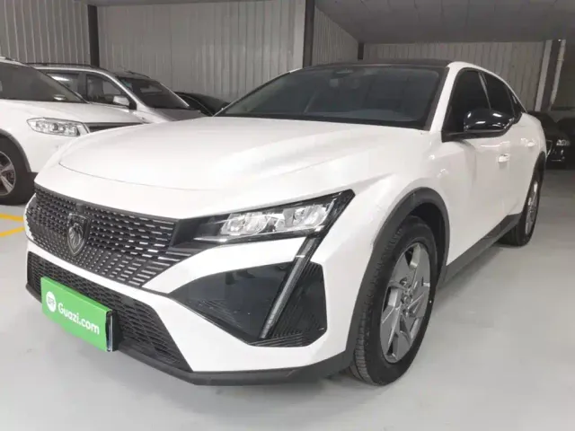 Фотография автомобиля — Peugeot 408X