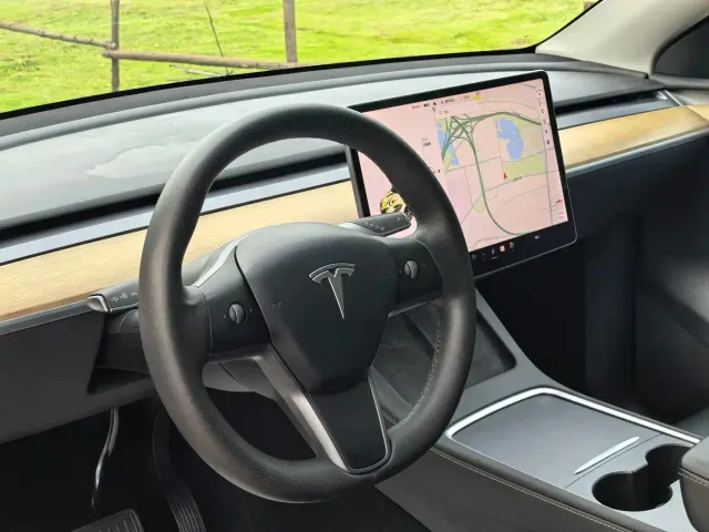 Tesla Model Y — Фото автомобиля 6