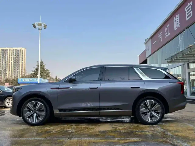 Hongqi E-HS9 — Фото автомобиля 14