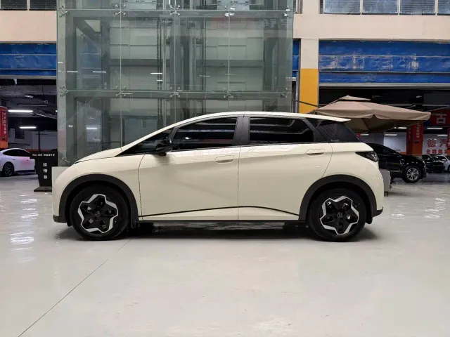 BYD Dolphin — Фото автомобиля 4
