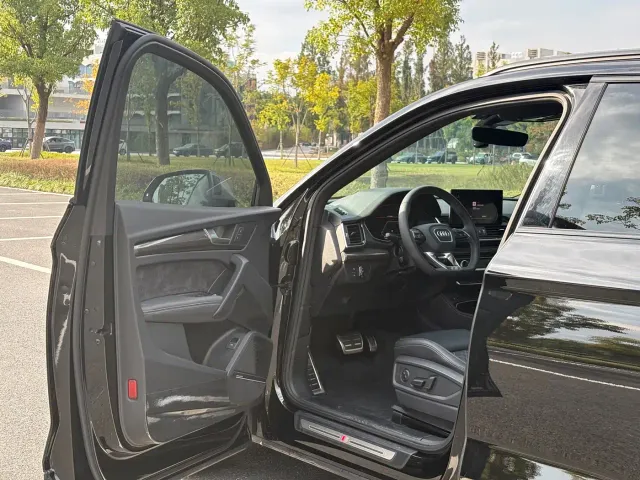 Audi SQ5 — Фото автомобиля 8