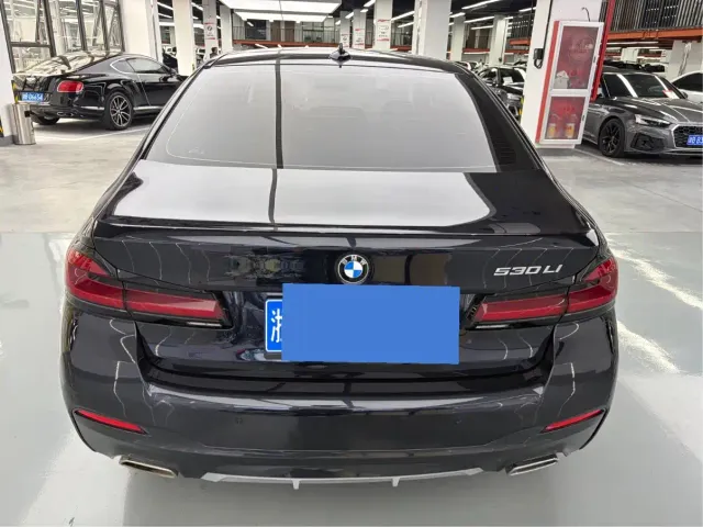 BMW 5 Series — Фото автомобиля 14