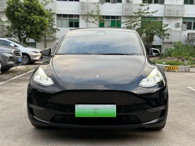 Tesla Model Y — Фото автомобиля 2