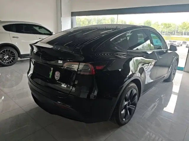 Tesla Model Y — Фото автомобиля 6