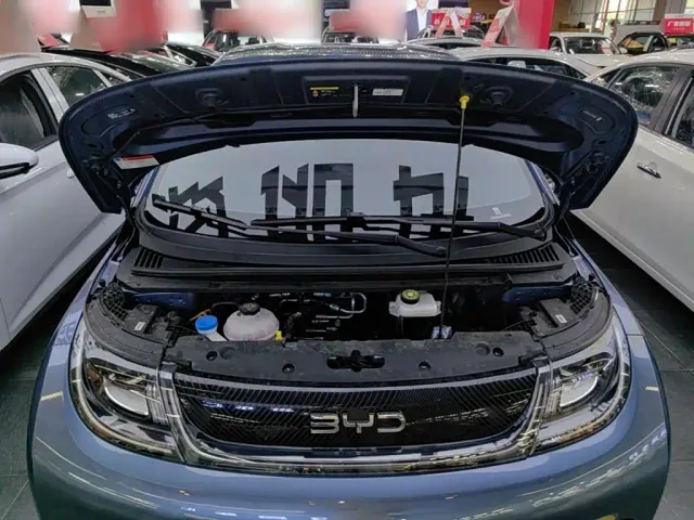 BYD Dolphin — Фото автомобиля 19