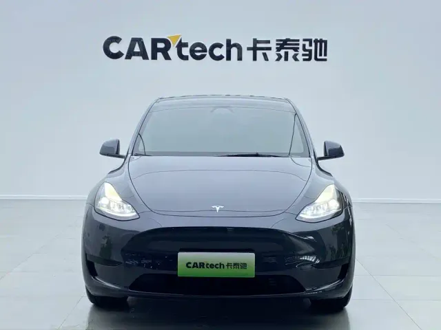 Tesla Model Y — Фото автомобиля 2