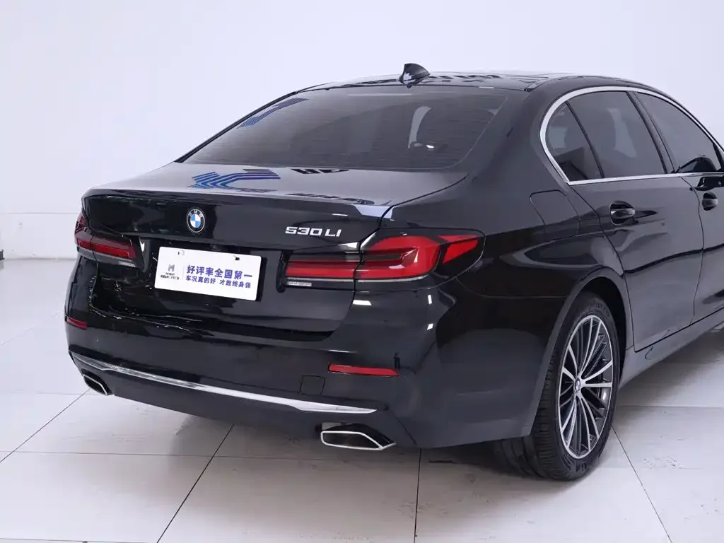 BMW BMW 5 Series 2022 Model Second Facelift 530Li Leading Luxury Package — Фото автомобиля 8
