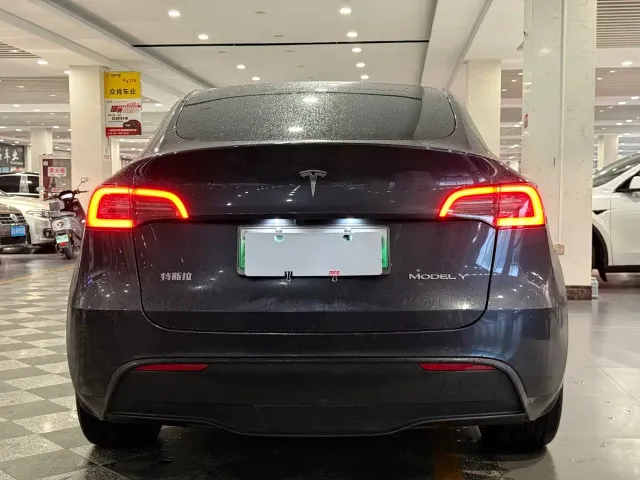Tesla Model Y — Фото автомобиля 5
