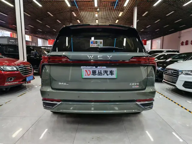 Wey Lanshan — Фото автомобиля 8