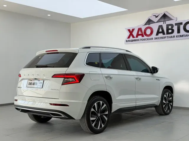 Skoda Karoq — Фото автомобиля 6