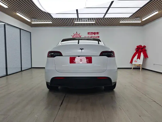 Tesla Model Y — Фото автомобиля 6