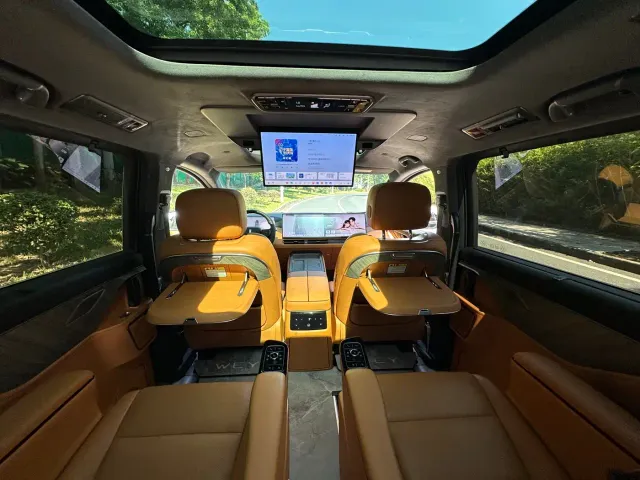 Wey Alpine — Фото автомобиля 17