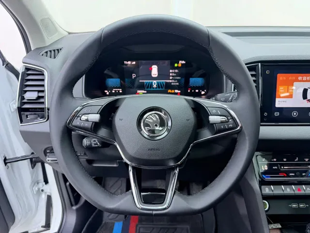 Skoda Karoq — Фото автомобиля 11