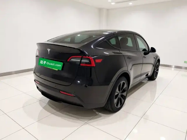 Tesla Model Y — Фото автомобиля 6