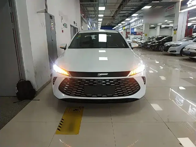 BYD Qin PLUS — Фото автомобиля 2