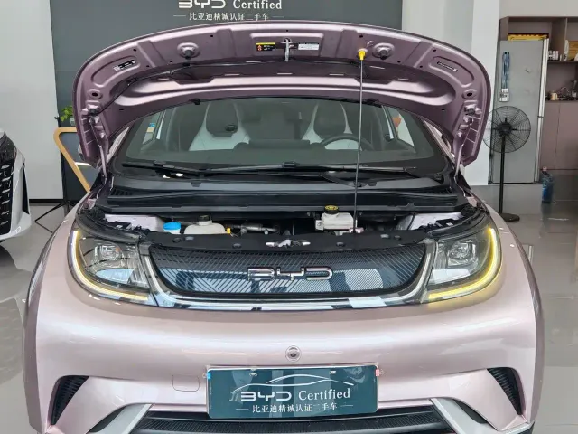 BYD Dolphin — Фото автомобиля 7