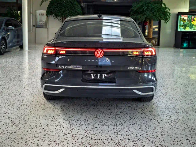 Volkswagen Lamando — Фото автомобиля 13
