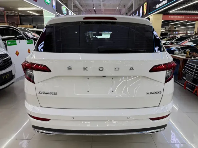 Skoda Karoq — Фото автомобиля 5