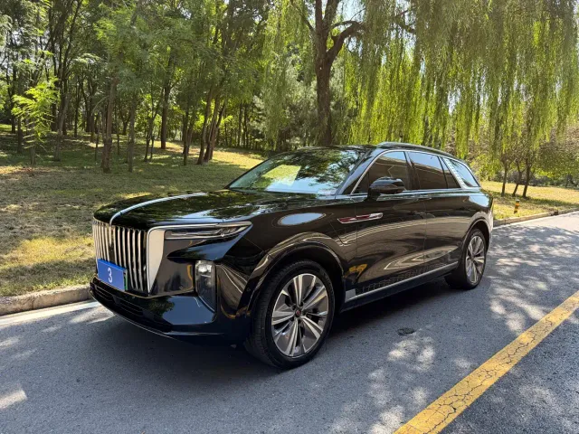 Фотография автомобиля — Hongqi E-HS9