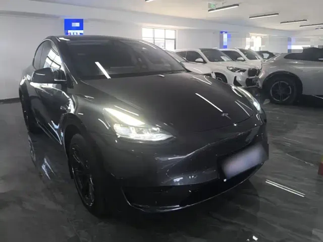 Tesla Model Y — Фото автомобиля 3
