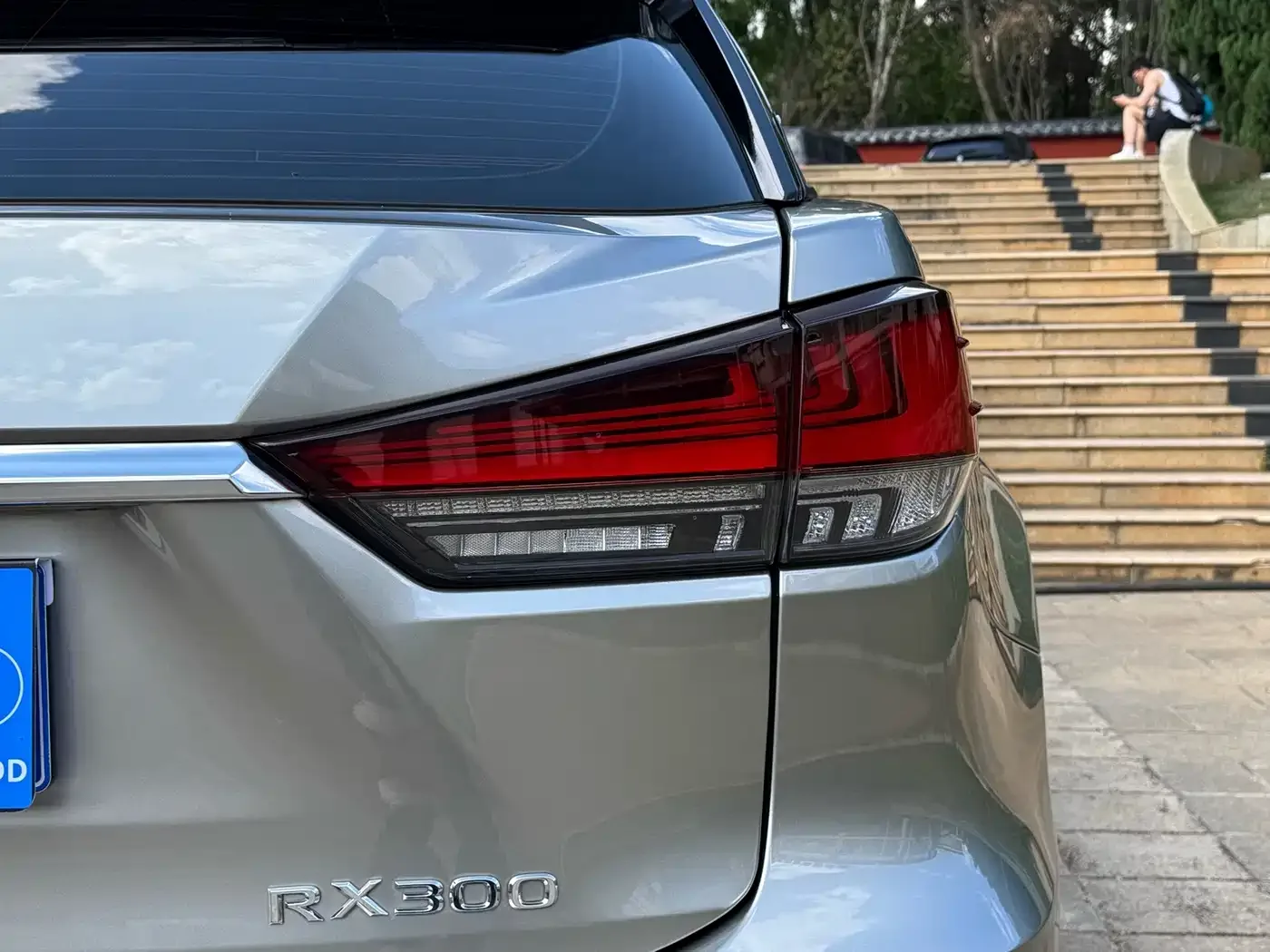 Lexus Lexus RX 2020 300 2WD Elite Edition China VI — Фото автомобиля 9