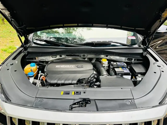 GAC Trumpchi GS4 PLUS — Фото автомобиля 23