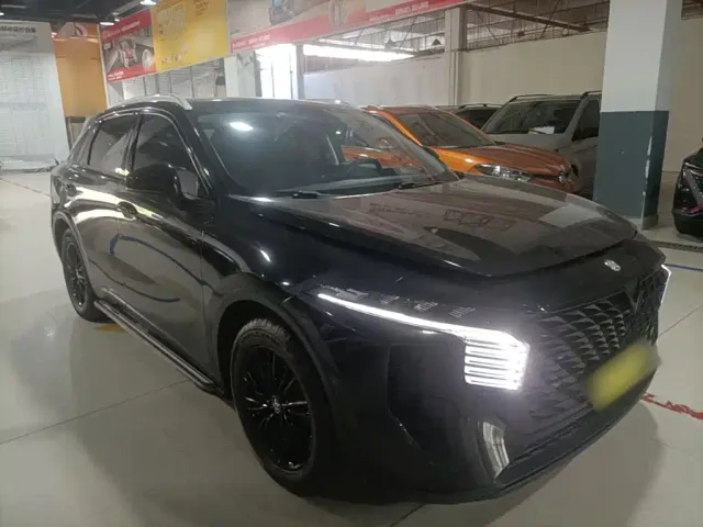 Venucia Venucia Big V 2022 260T Dark Horse Edition·Idol — Фото автомобиля 3
