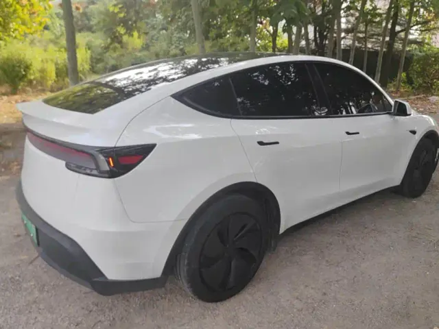 Tesla Model Y — Фото автомобиля 3