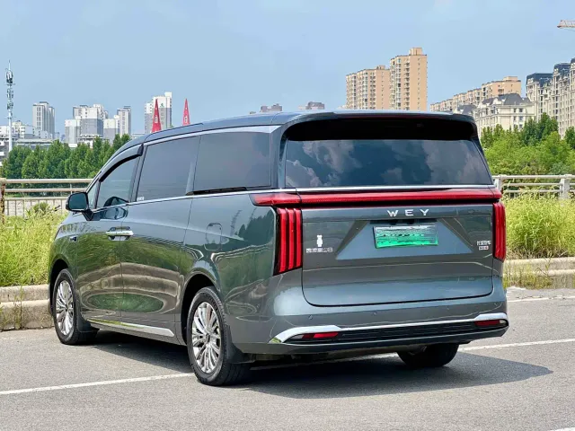 Wey Alpine — Фото автомобиля 7