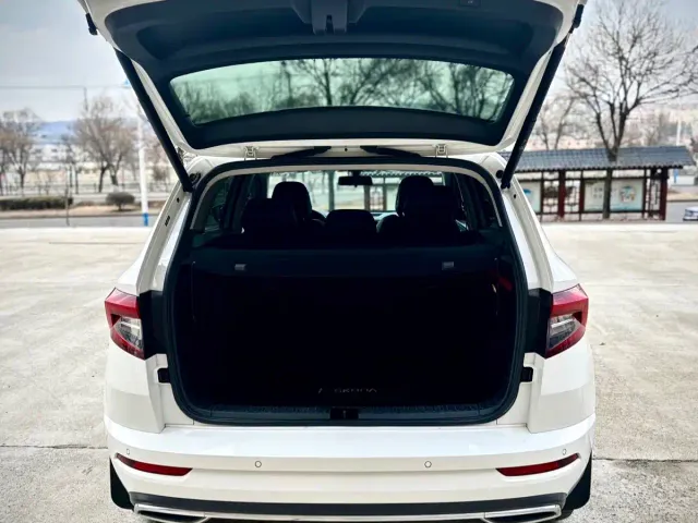 Skoda Karoq — Фото автомобиля 14