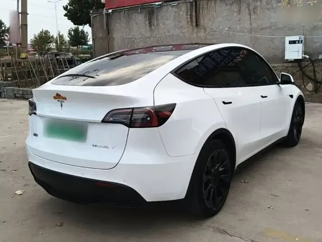 Tesla Model Y — Фото автомобиля 6