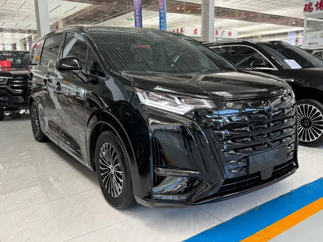 Denza Denza D9 2024 DM-i 1050 Premium — Фото автомобиля 3